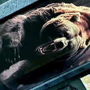 На память: Нарды под стеклом «Хозяин тайги» — фотография 4